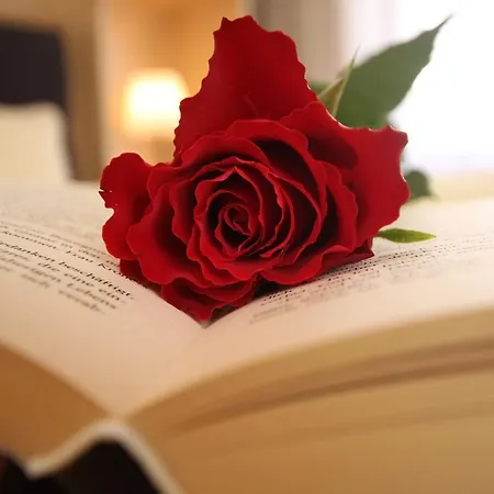 Gaestehaus -pension Edelweiss 3* Vent